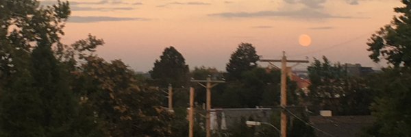 fishnette Profile Banner