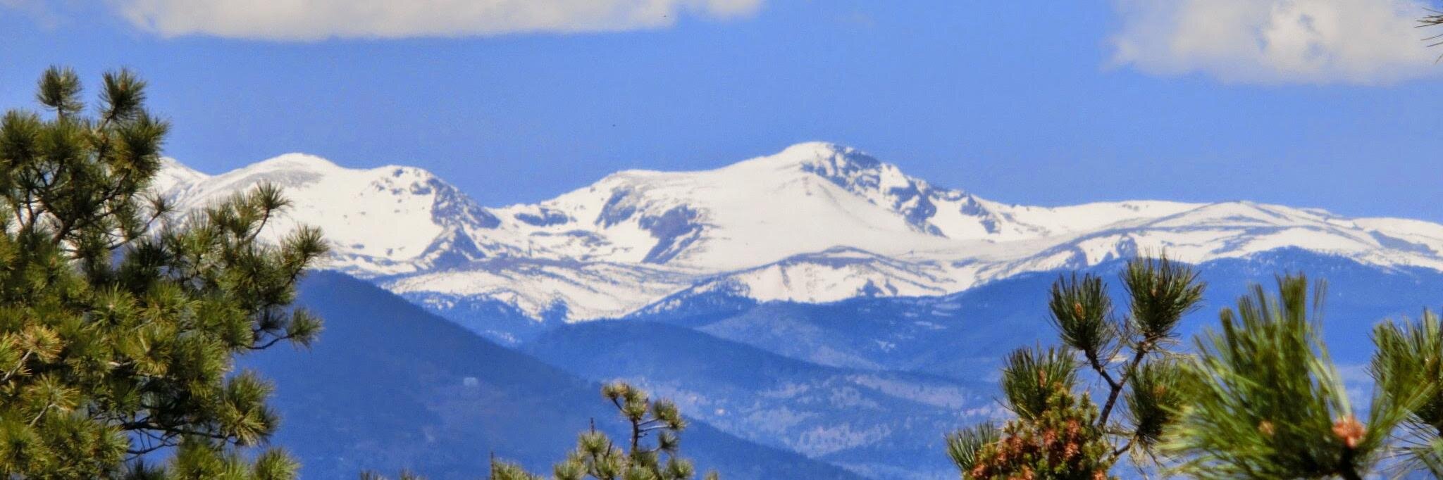 Maria Schwartzman Webb banner