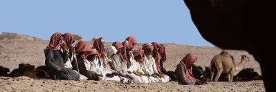 جريس banner