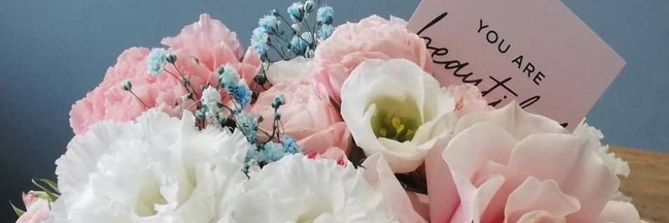 s_violin_'s profile banner image