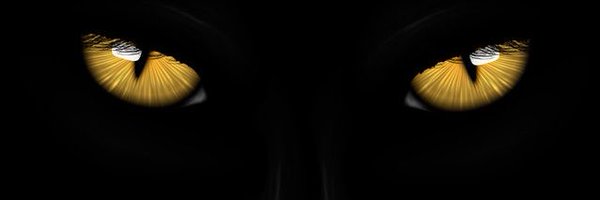 Knight_cjwk Profile Banner