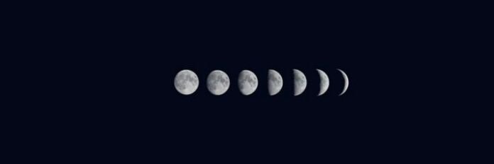 ammoralemdavida's profile banner image