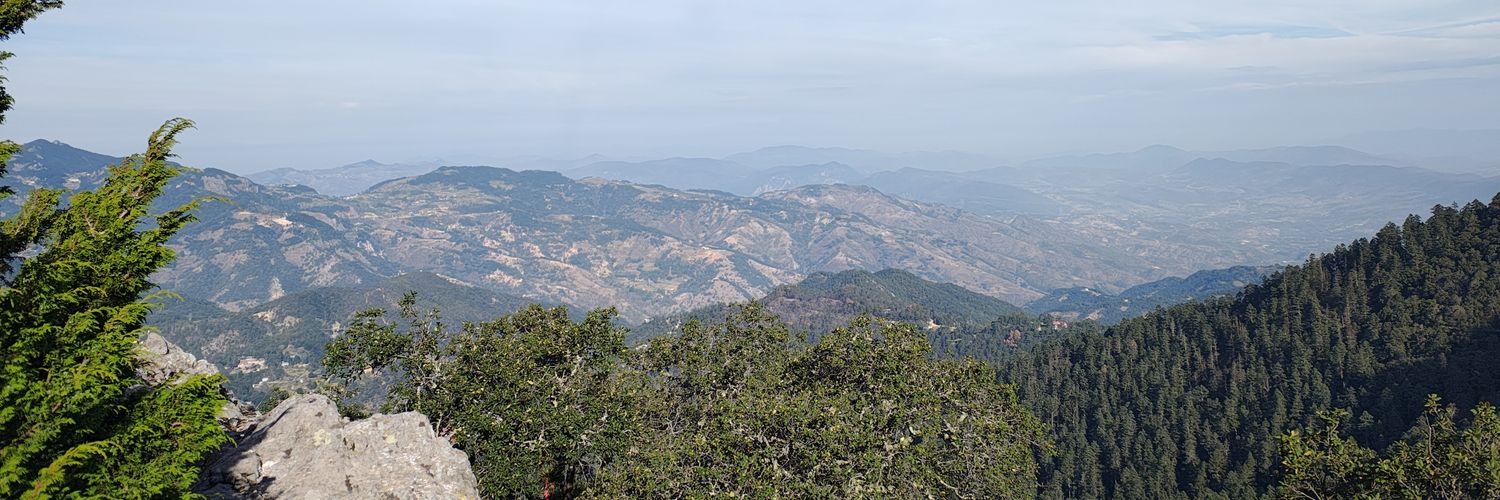 ABIGAIL MORENO banner