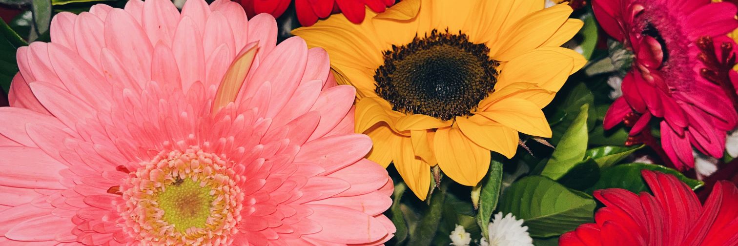 JZ_SEP_'s profile banner image