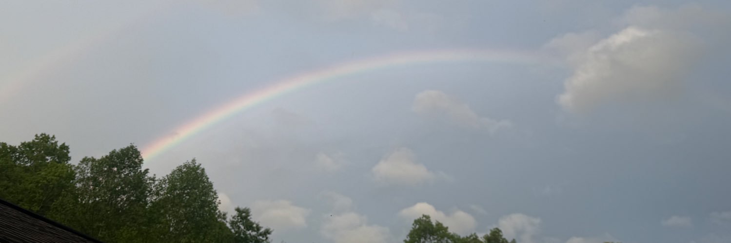 smallfry_'s profile banner image