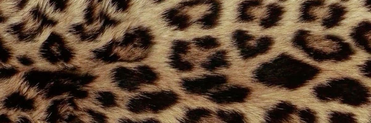 manicluv's profile banner image