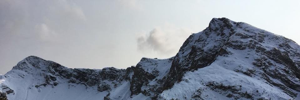AlicePinky's profile banner image