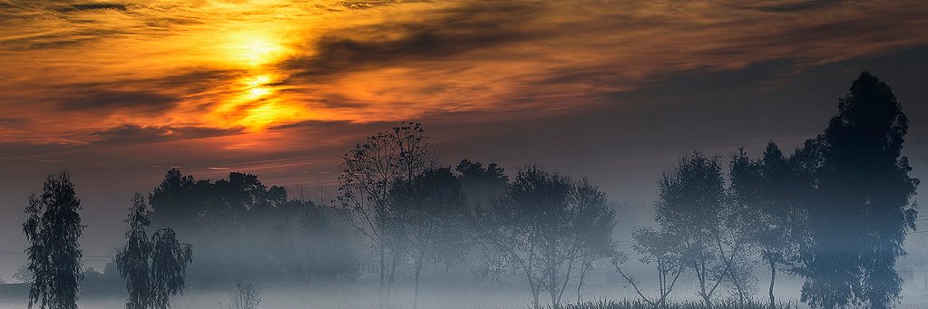 Harinder Singh | ਹਰਿੰਦਰ ਸਿੰਘ banner