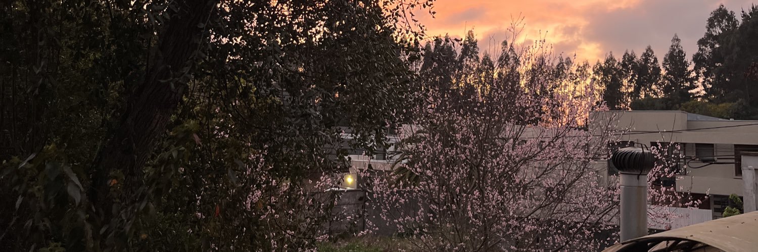 luvvleyvi's profile banner image
