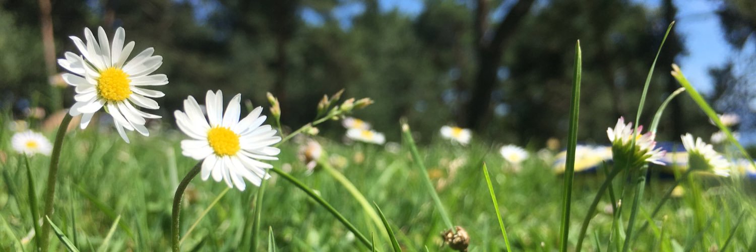 JessSader's profile banner image