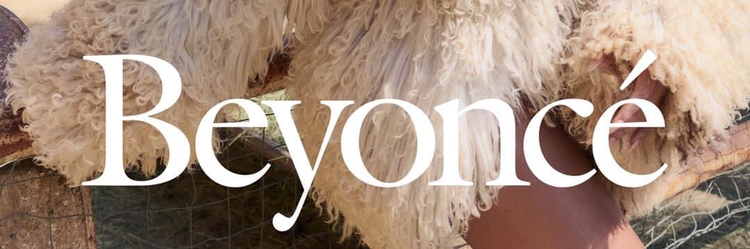 Charly Velozoul ⚡️ banner