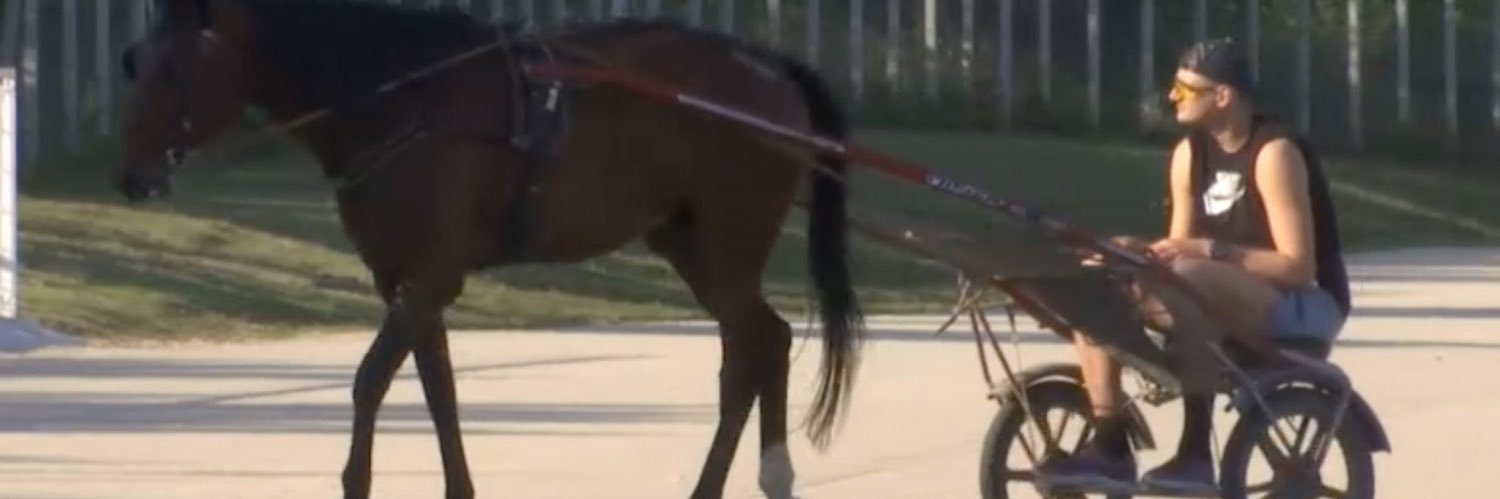 Chase Bernstein banner