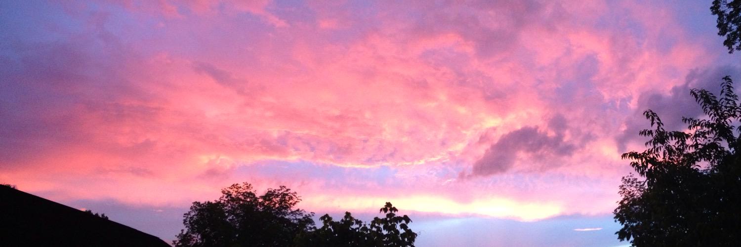 @phiggins@indieweb.social banner