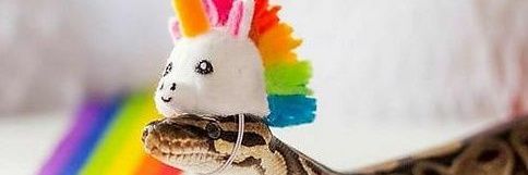 ccamisama's profile banner image