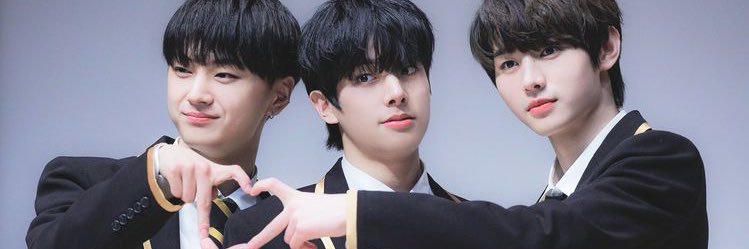 ♡‧₊˚𝑛’𝑆𝑢𝑛𝑔Ⓜ️𝑖𝑙𝑘 ꔛ ✿ banner