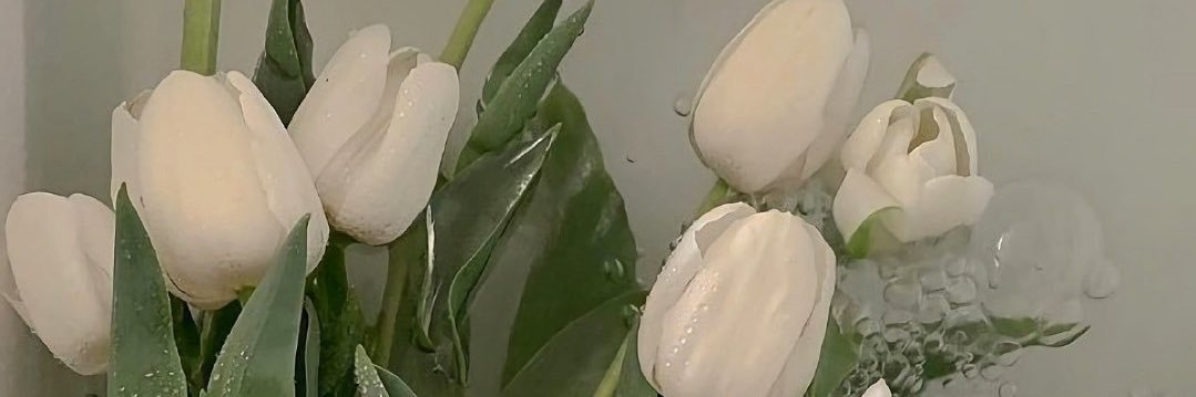 jssicachia's profile banner image