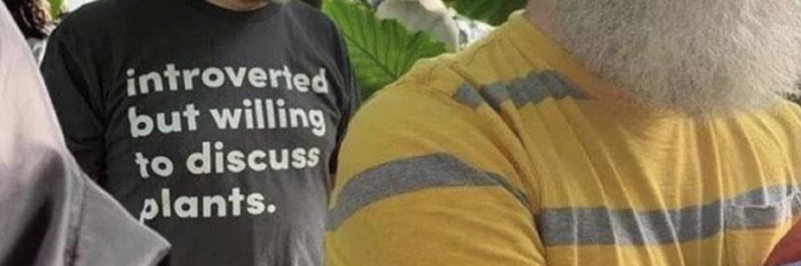 yosoyashley banner