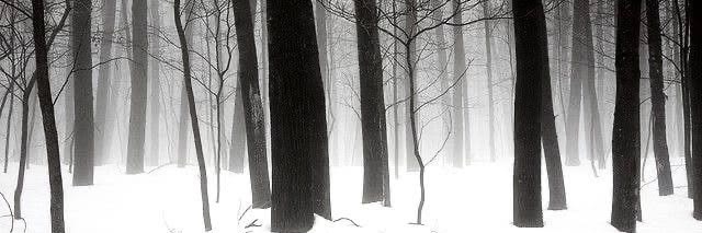 Ree banner