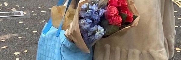 ⭐ banner