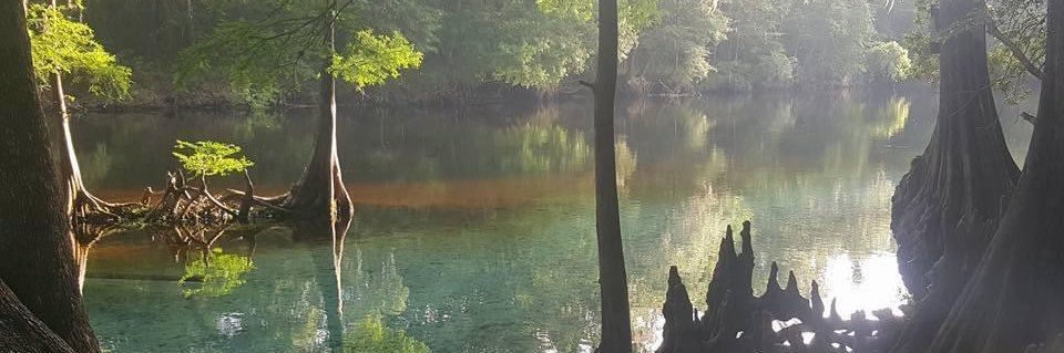 RachlesaurusRex banner