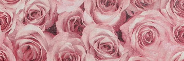 Foxxyduck banner