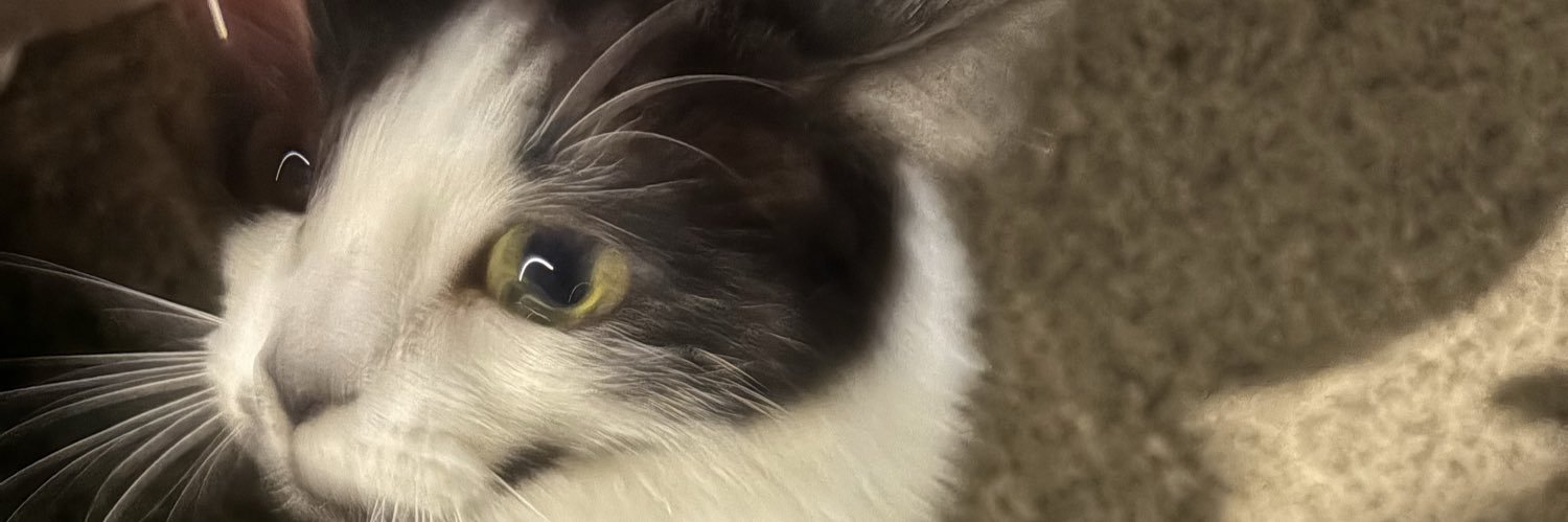 ☽ banner