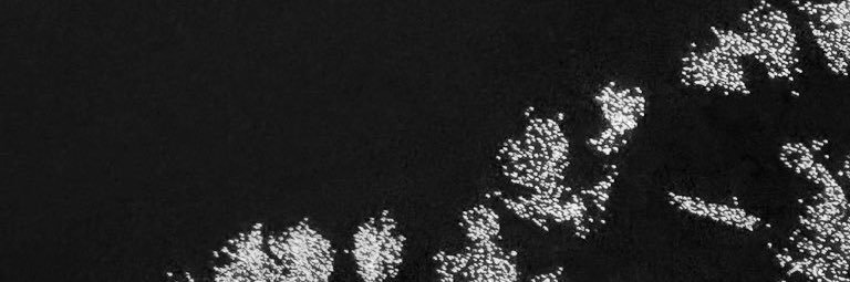 ׁ ៹ euncha ׅ ੭ ˡᵃʸᵒᵘᵗ banner