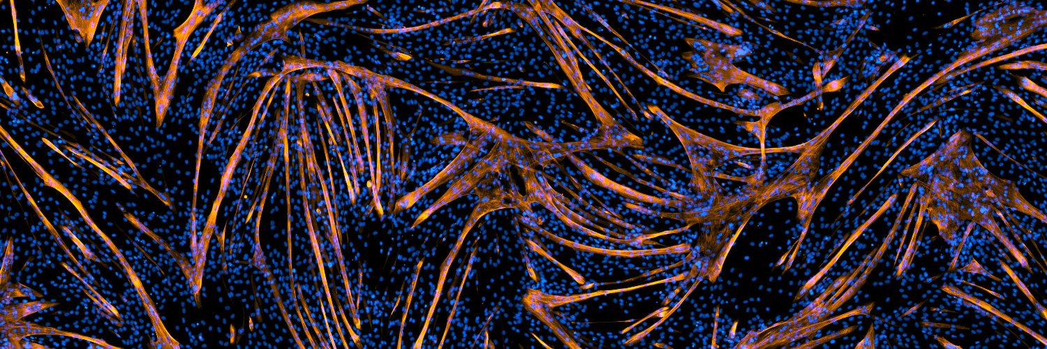 Jeffrey Brault, PhD banner