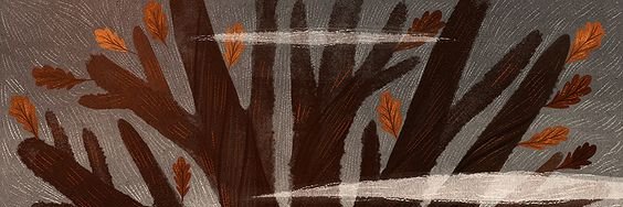 r4dbright's profile banner image