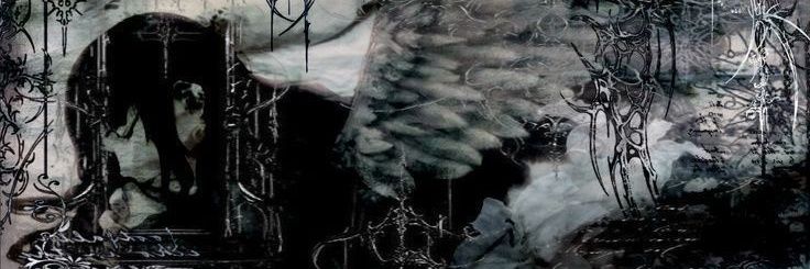 00svtn's profile banner image