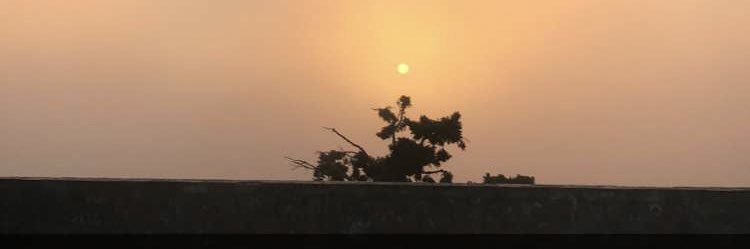 MsferShie's profile banner image