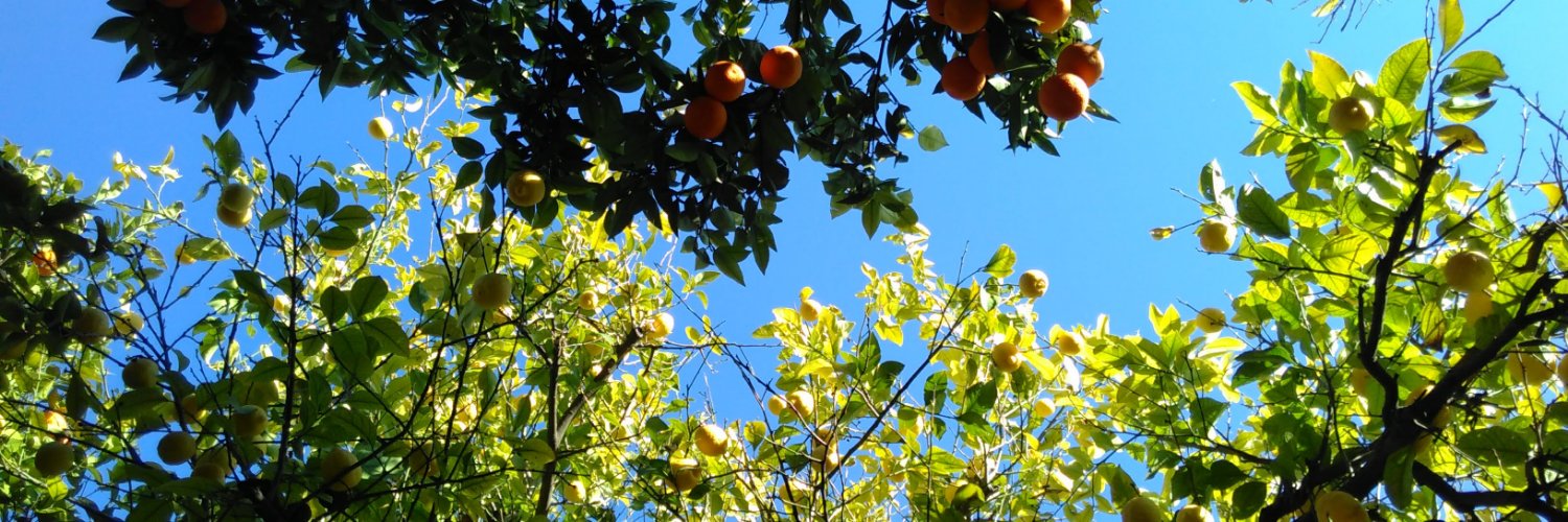TamaraEBGreen's profile banner image