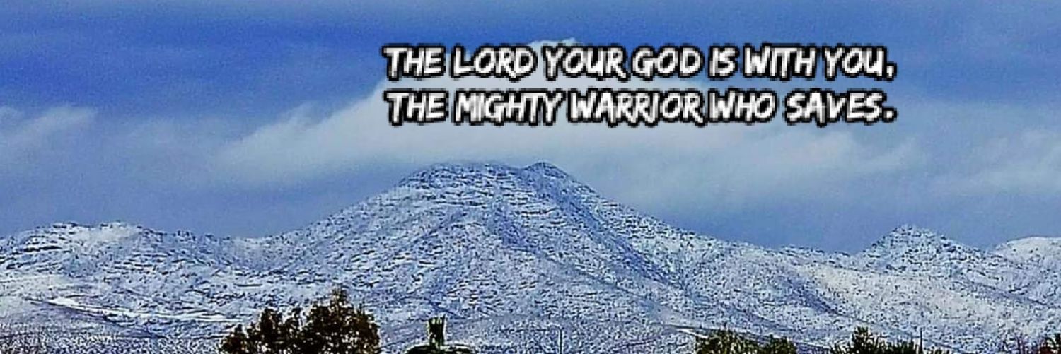 Melissa Vincent banner