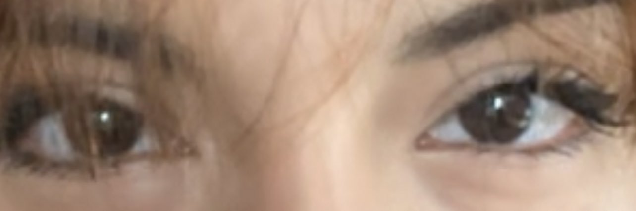 quiet_longface's profile banner image