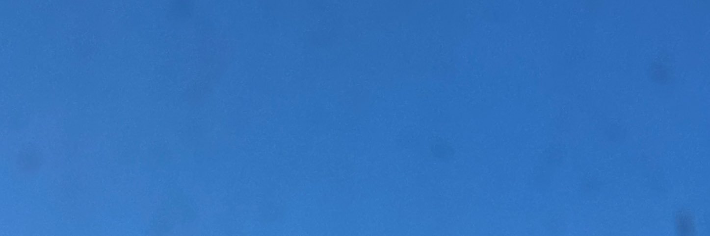 Anudaria0621's profile banner image