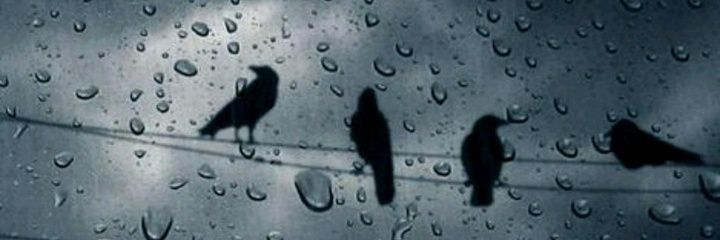 sky_sm2's profile banner image