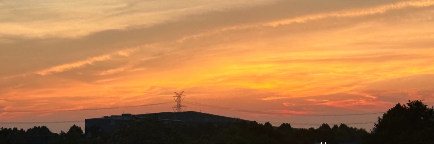 elslluna's profile banner image