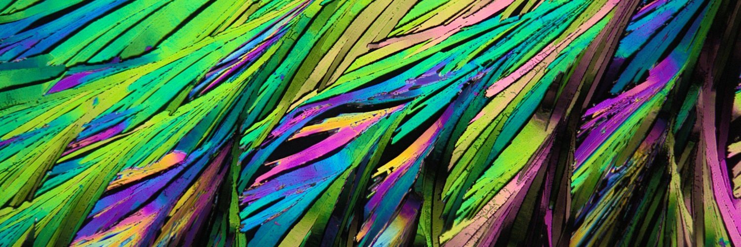 Patrick J Shamberger banner