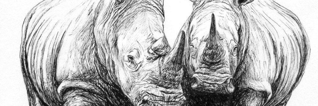 elcpt_Manu's profile banner image