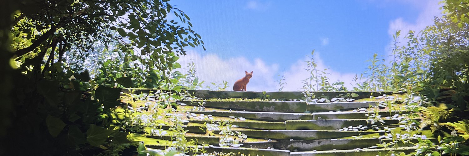 dddtyhh's profile banner image