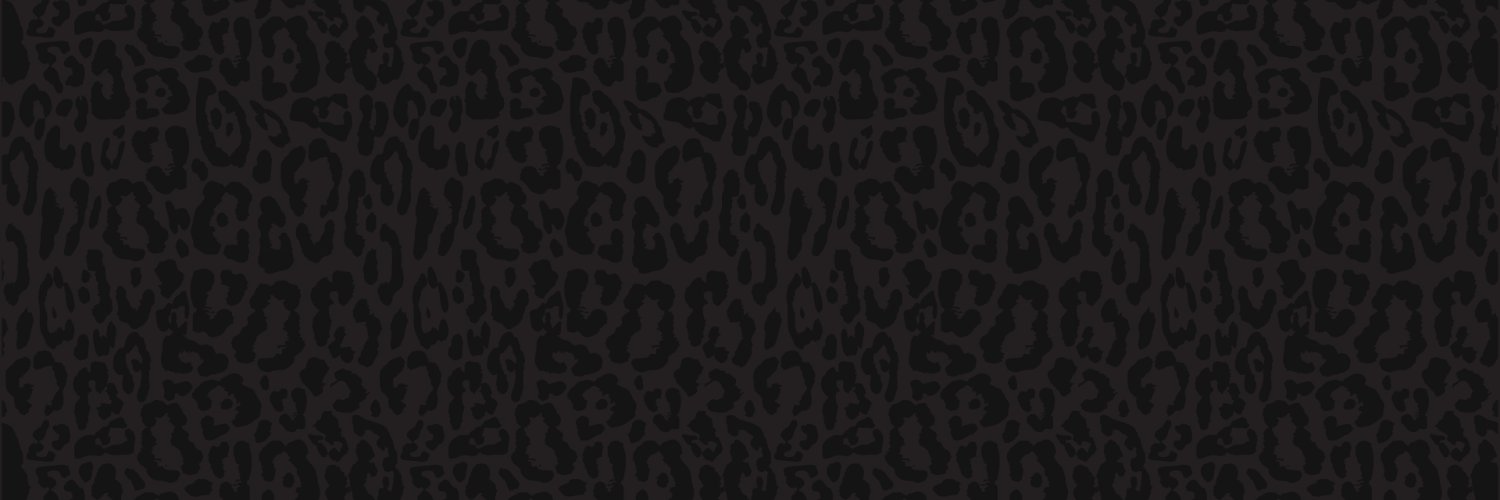 audreysaccone's profile banner image