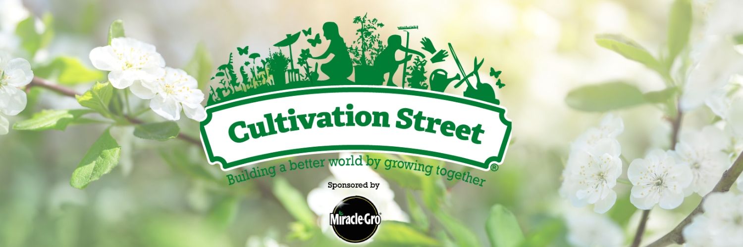 Cultivation Street banner