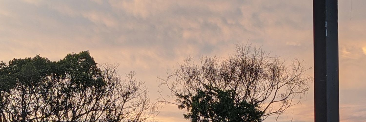 athena banner