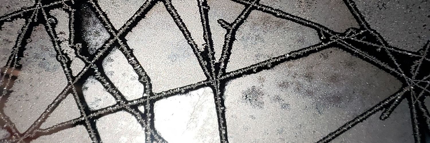 smmcclain95's profile banner image