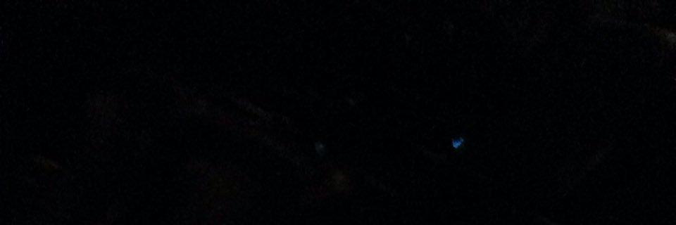 Fco_Gnzalez's profile banner image