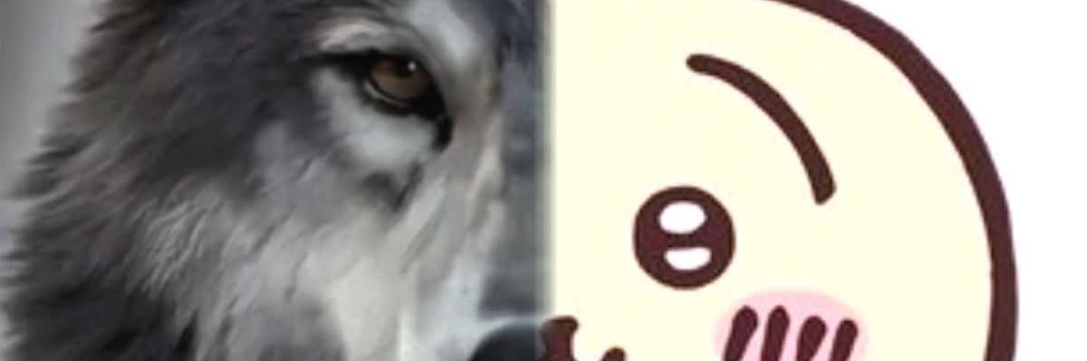Nhmuu's profile banner image