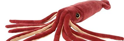 evilsquid's profile banner image