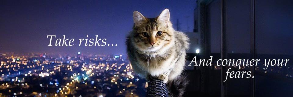 Daysi_G_F's profile banner image