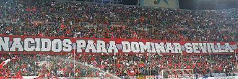 constanza_peso's profile banner image