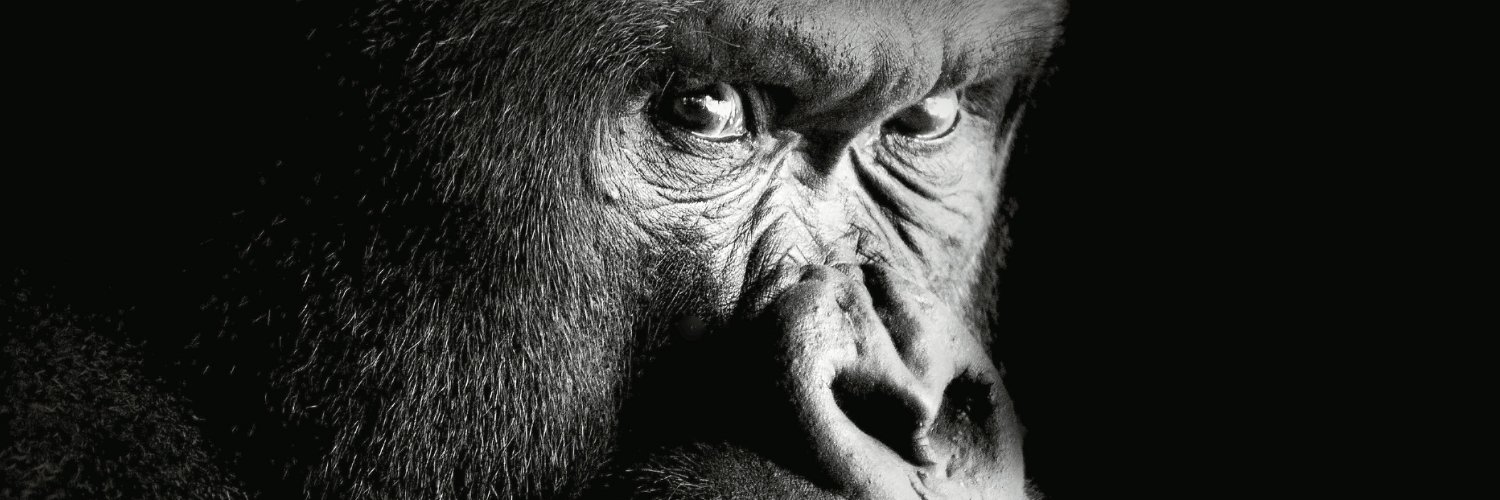 richardalois's profile banner image